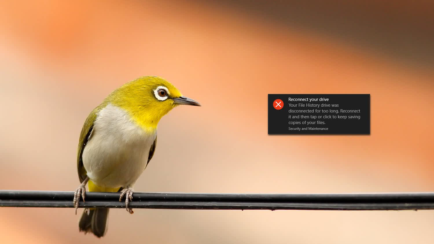 Fix the “Your File History drive was disconnected for too long ...