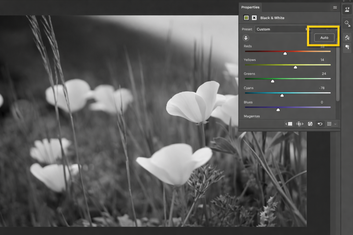 How to Convert Color Photos to Stunning Black and White in Photoshop 3 image 5